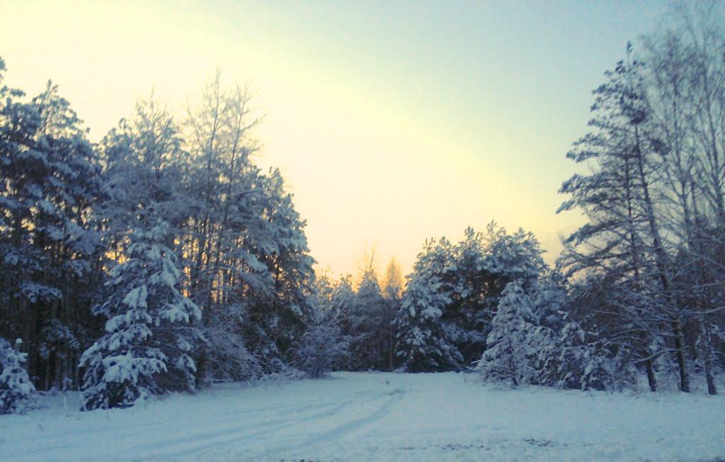 Дитятки з panoramio.com - Дитятки