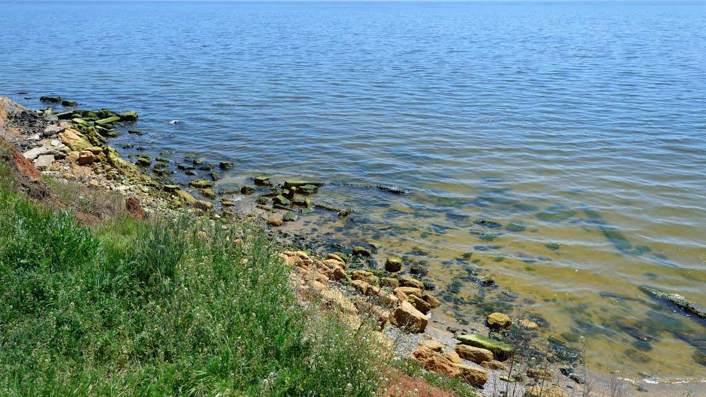 Фонтанка з panoramio.com - Фонтанка