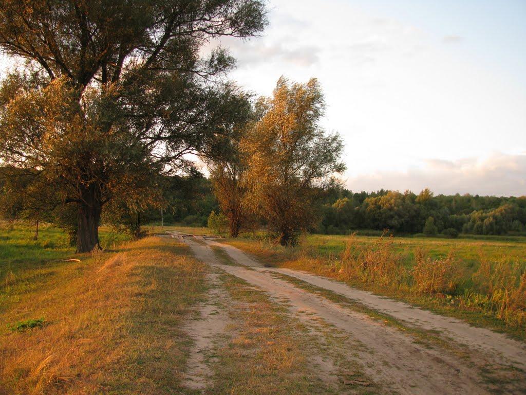 Троянівка з panoramio.com - Трояновка