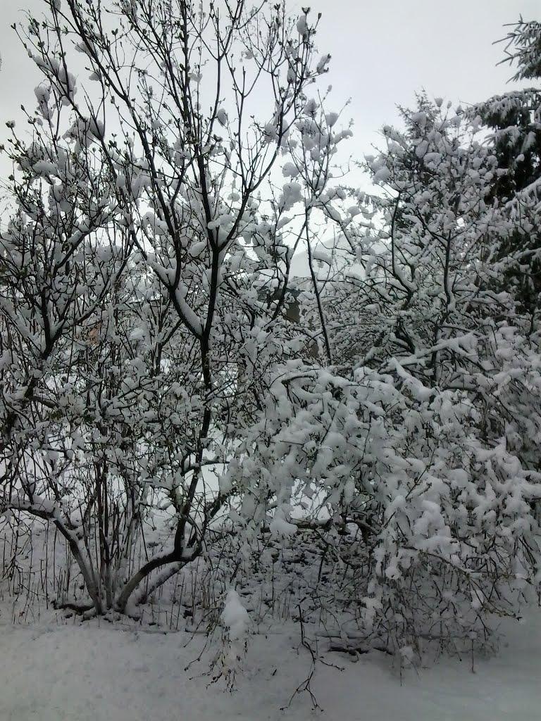 Лопатів з panoramio.com - Лопатів