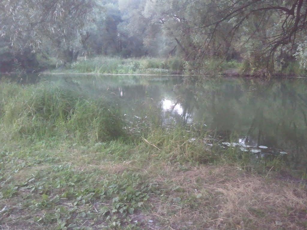 Куп'янськ з panoramio.com (ч.2) - Kupyansk