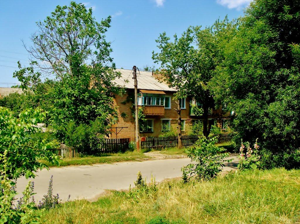 Гудзівка з panoramio.com - Гудзовка