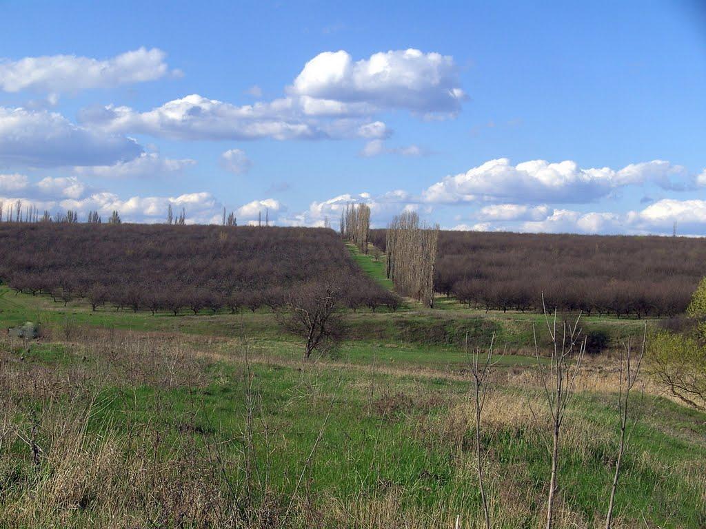 Мала Рогань з panoramio.com - Мала Рогань