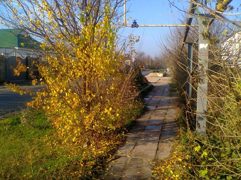 Роздольне з panoramio.com - Роздольне