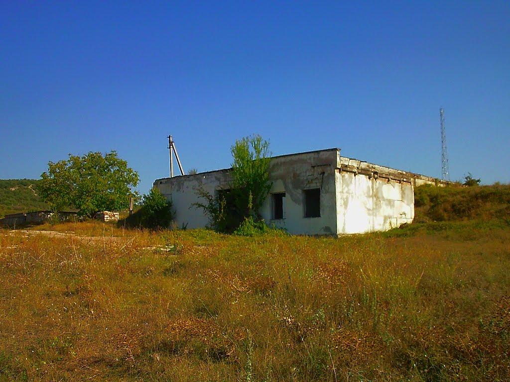 Красний Мак з panoramio.com - Красный Мак