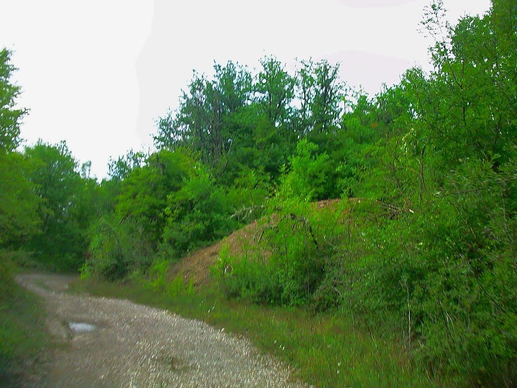 Синапне з panoramio.com - Синапное