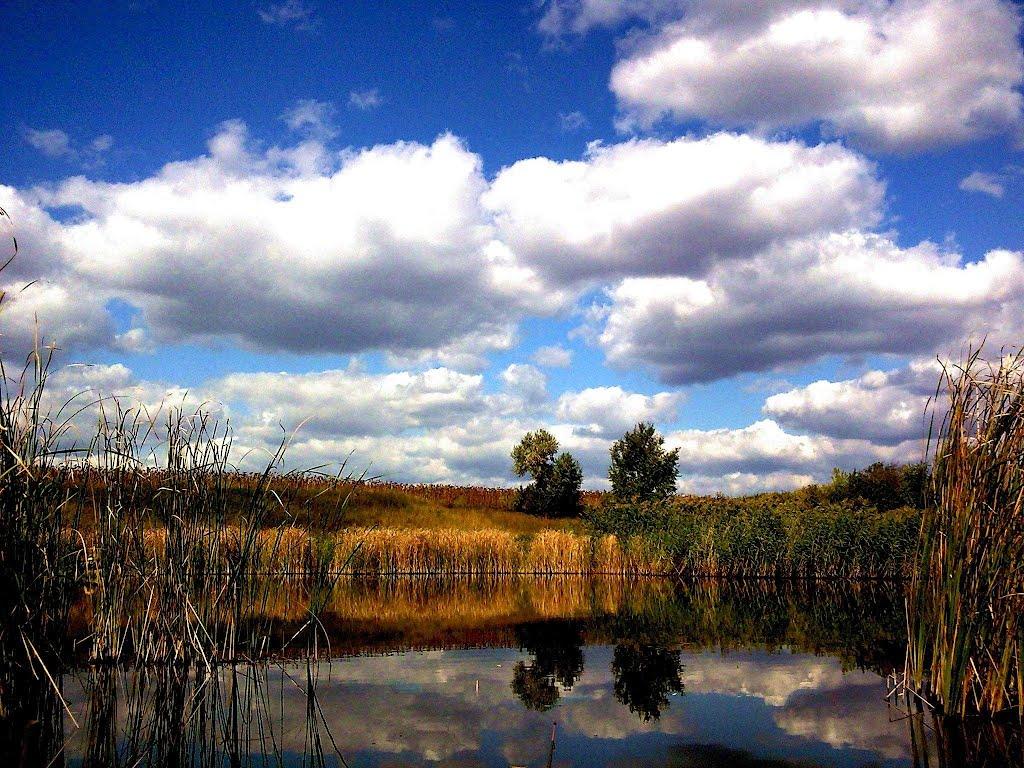 Дубове з panoramio.com - Дубове