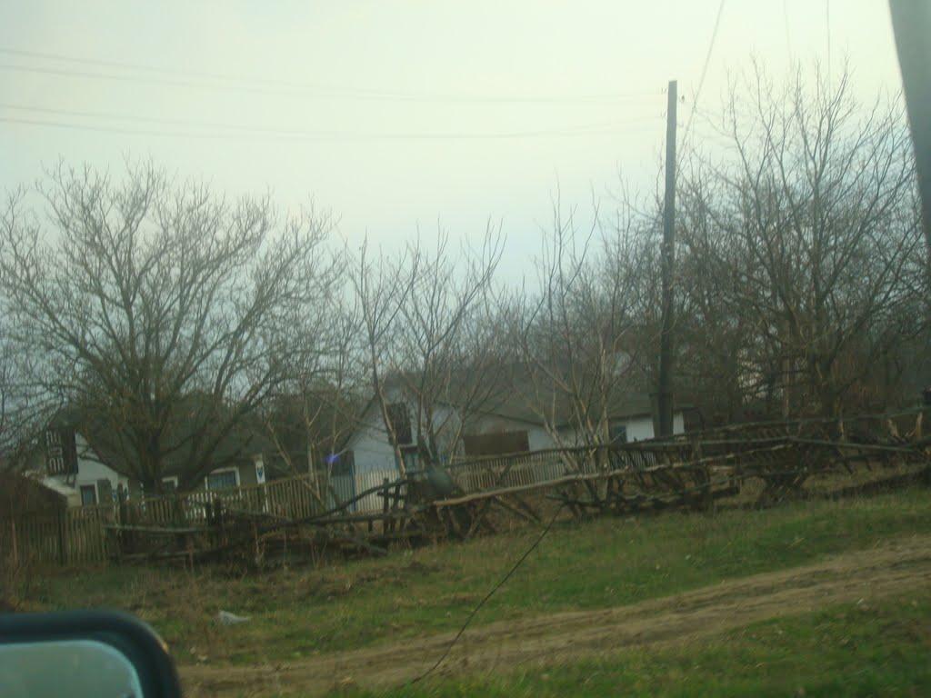 Ставчани з panoramio.com - Ставчаны