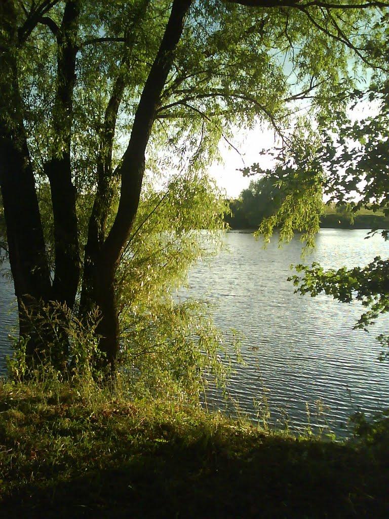 Флоріанівка з panoramio.com - Флоріанівка