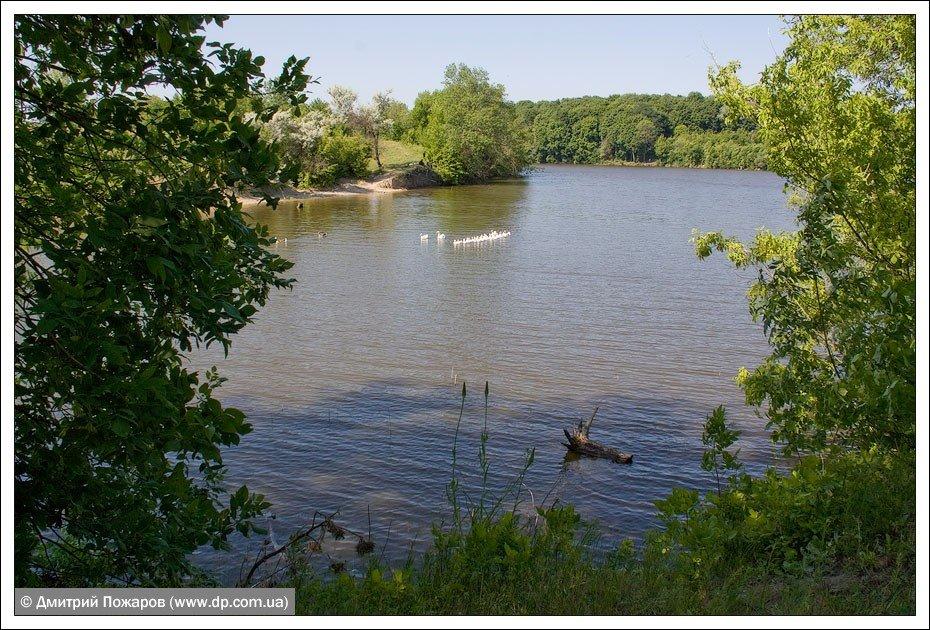 Бабаки з panoramio.com - Бабаки