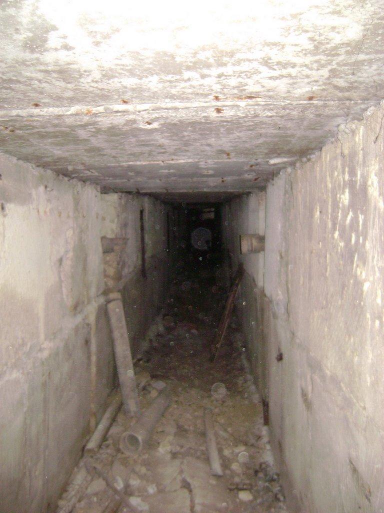 Шкільне з panoramio.com - Школьное