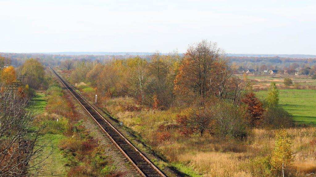 Шепарівці з panoramio.com - Sheparivtsi