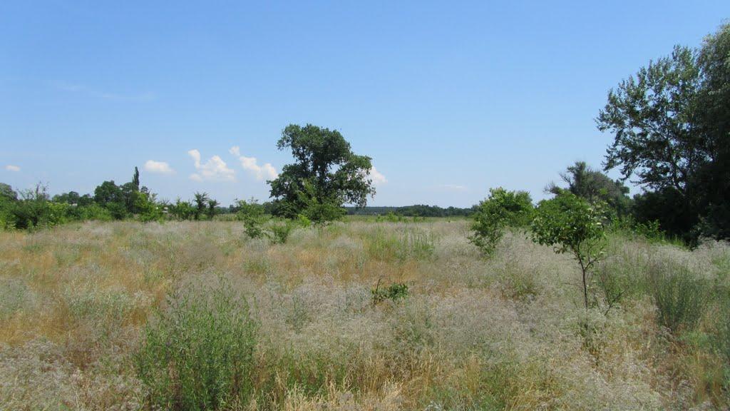 Кримське з panoramio.com - Крымское