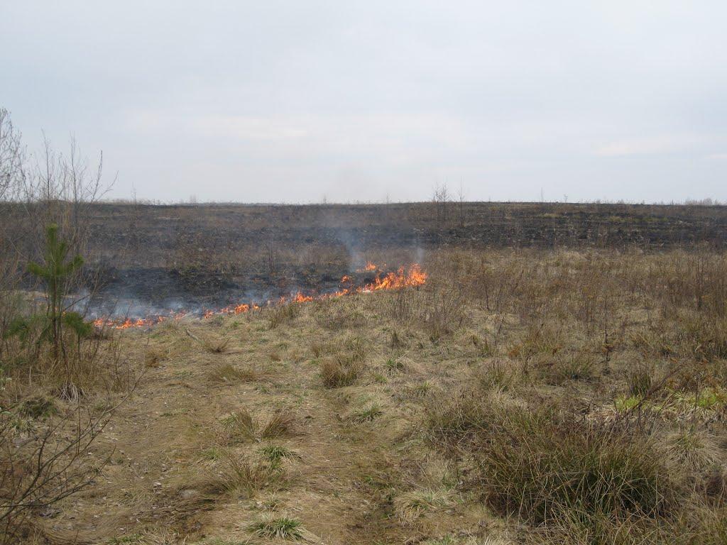 Омелівка з panoramio.com - Омелівка