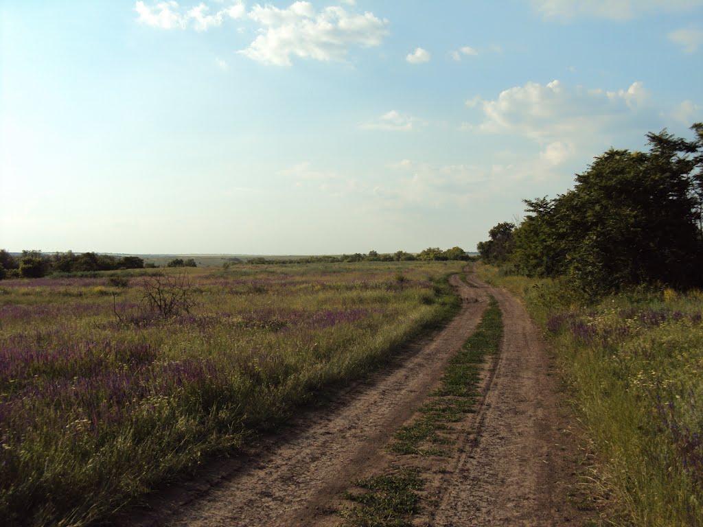 Ряснопіль з panoramio.com - Ряснопіль