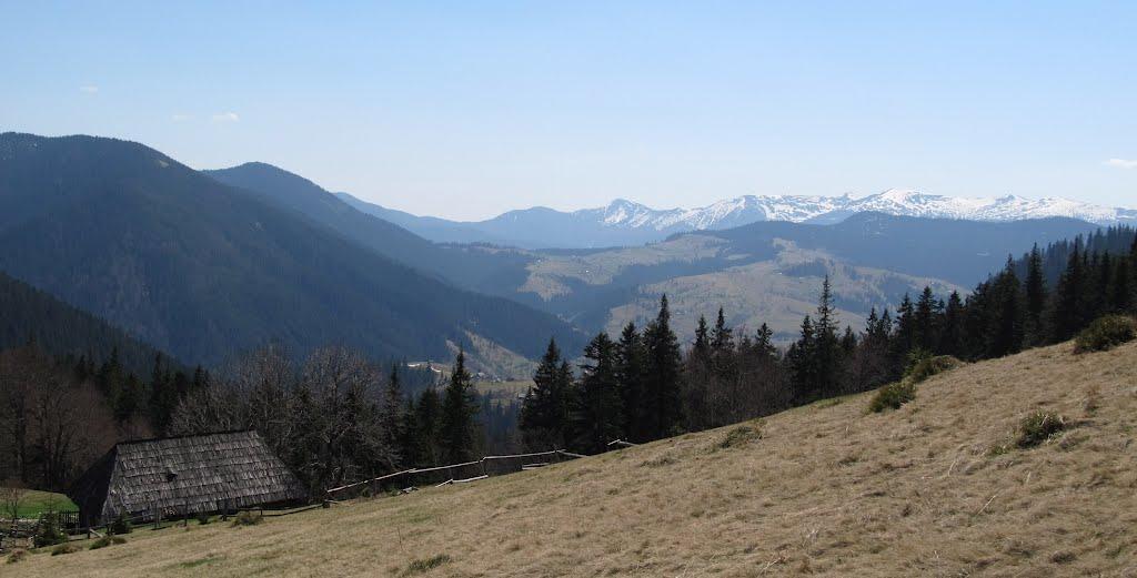 Синевирська Поляна з panoramio.com - Синевирская Поляна