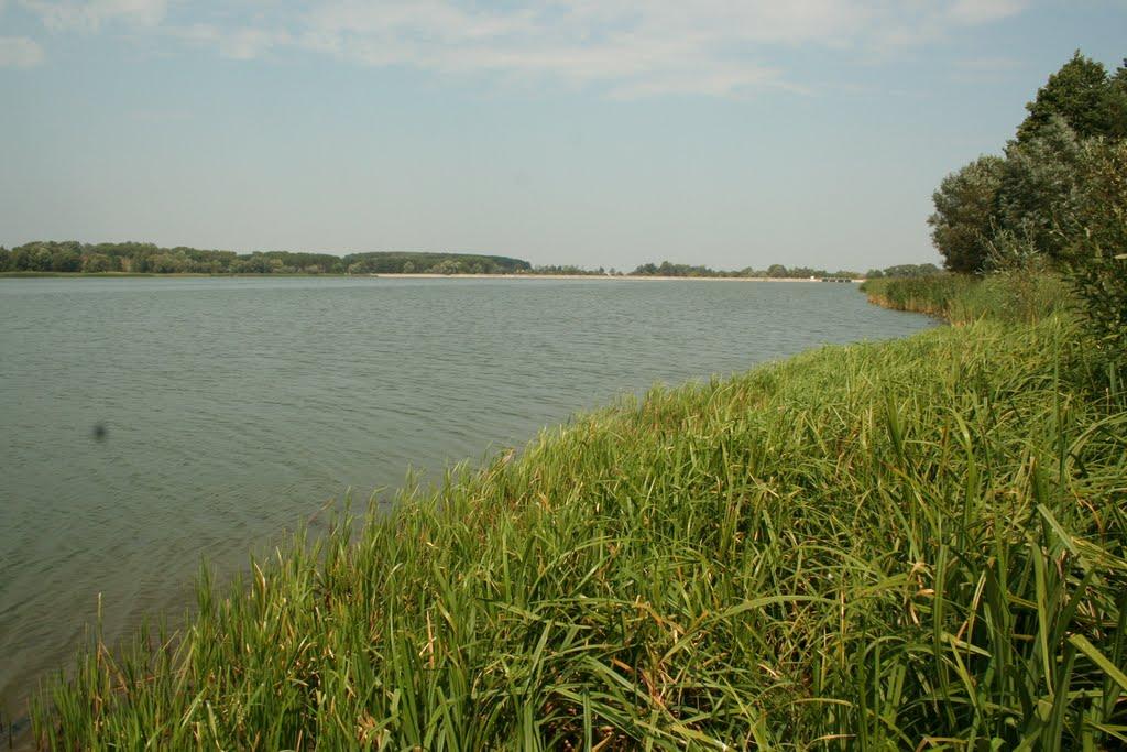 Гавронщина з panoramio.com - Гавронщина