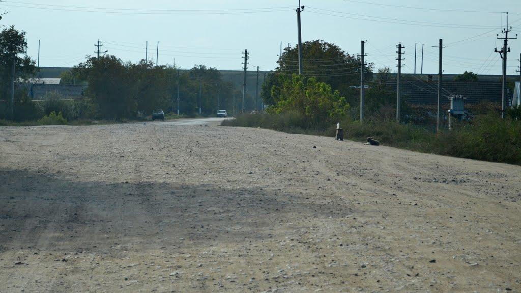 Павлівка з panoramio.com - Павлівка