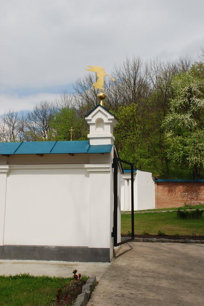 Тетянівка з panoramio.com (ч.2) - Тетяновка