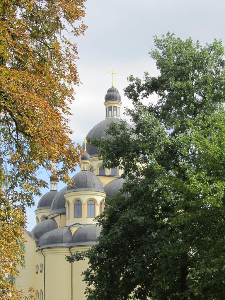 Коломия з panoramio.com - Коломыя