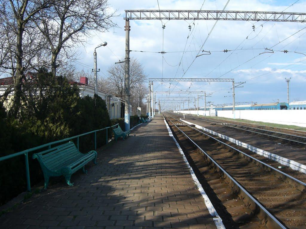 Новоандріївка з panoramio.com - Новоандріївка