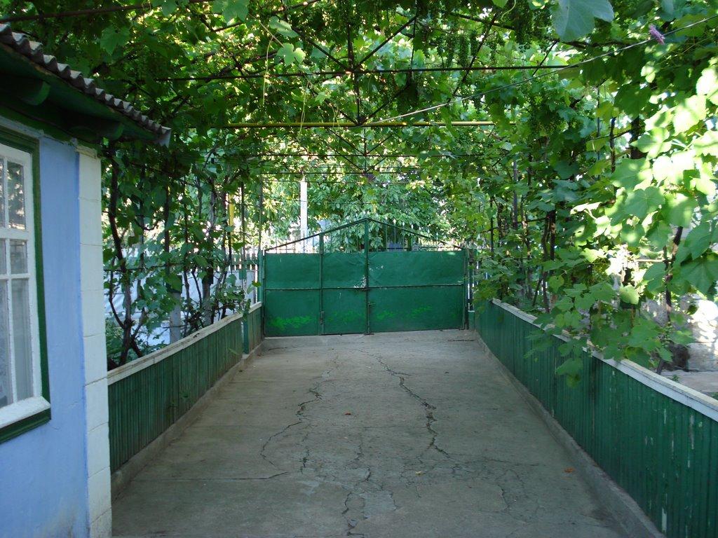 Біляївка з panoramio.com - Беляевка