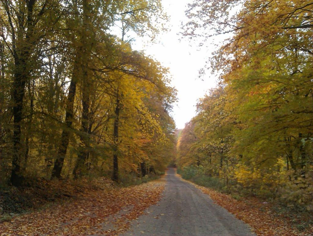 Давидів з panoramio.com - Давидів