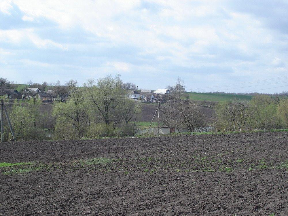 Литвинівка з panoramio.com - Литвинівка