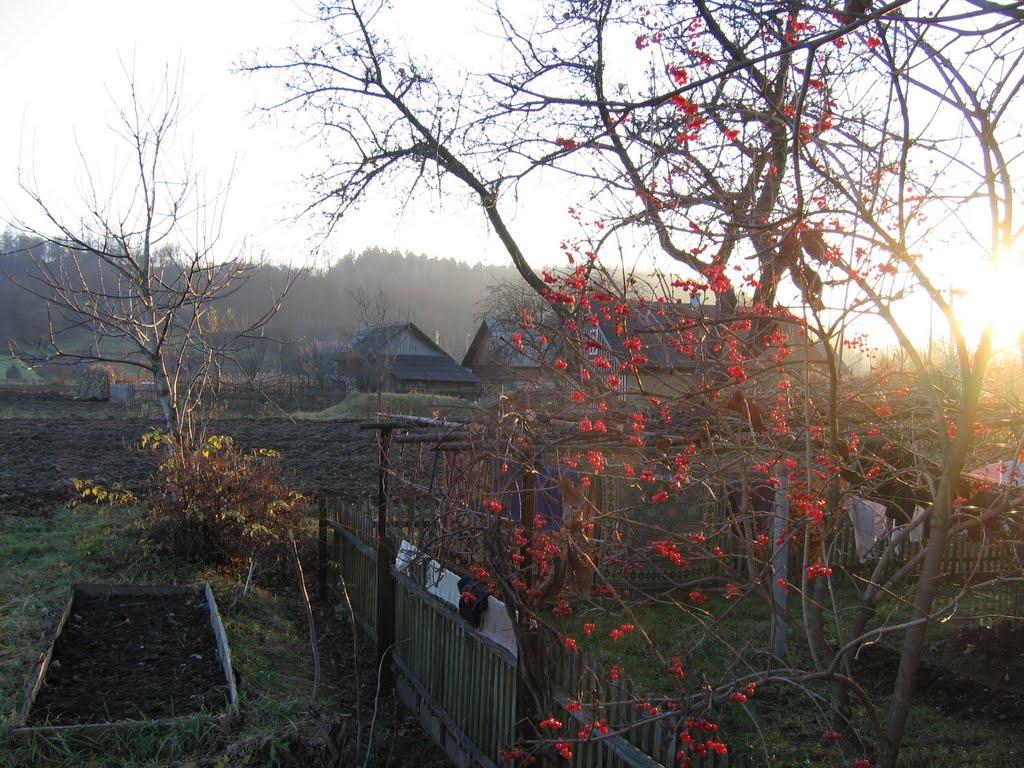 Стара Жадова з panoramio.com - Старая Жадова