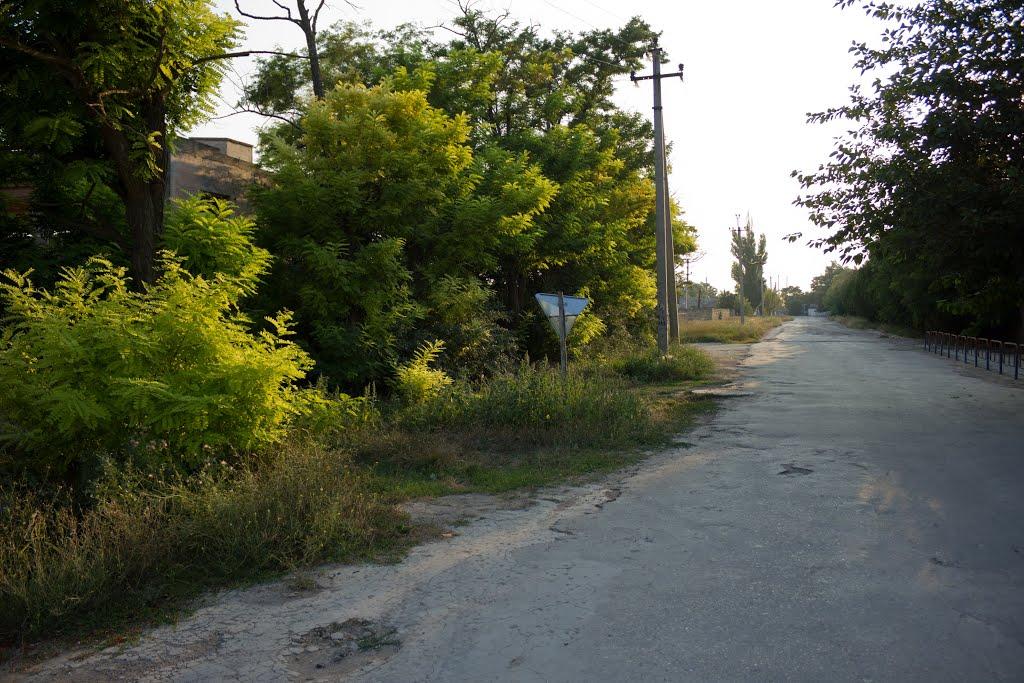Роздольне з panoramio.com - Роздольне