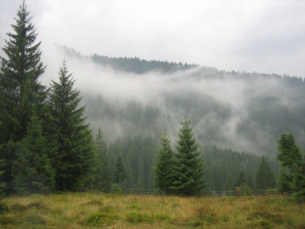 Береги з panoramio.com - Береги