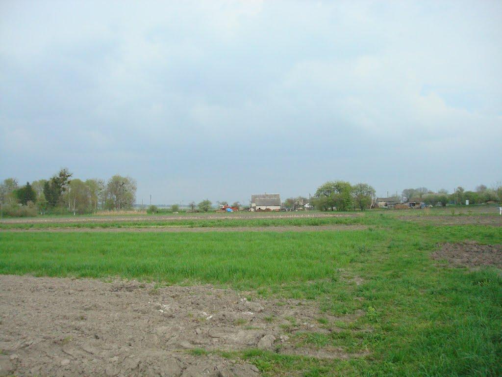 Дроздні з panoramio.com - Дроздні