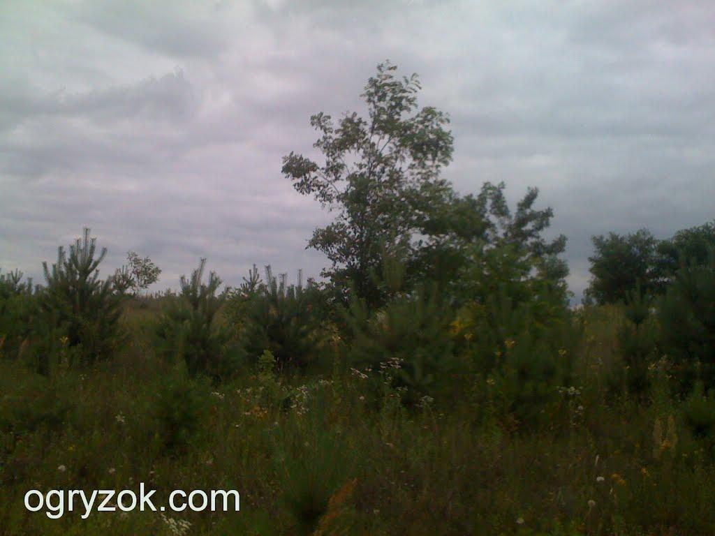 Михайлівка-Рубежівка з panoramio.com - Михайловка Рубежовка