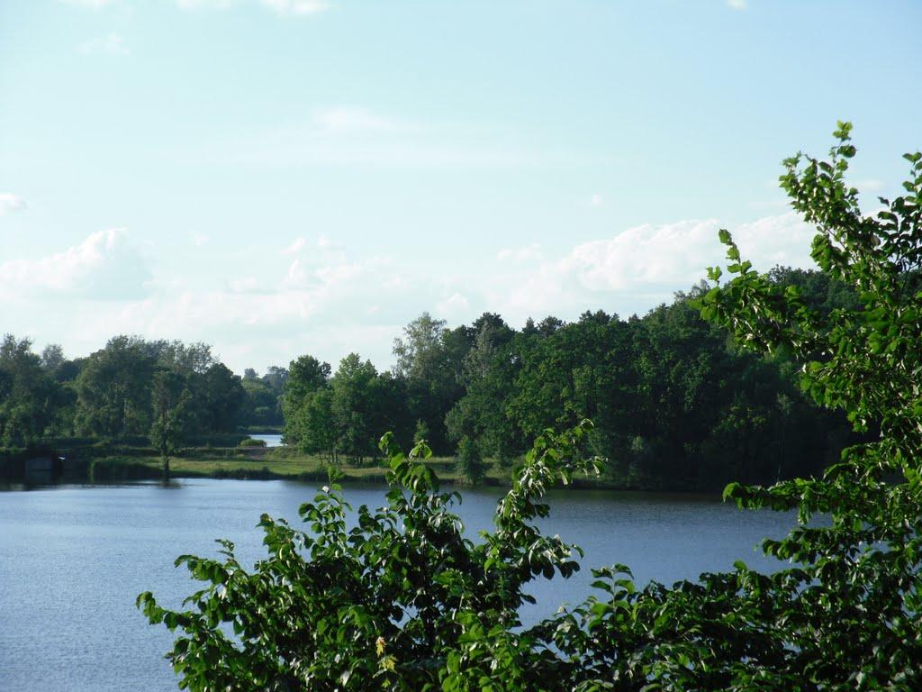 Власівка з panoramio.com - Власівка