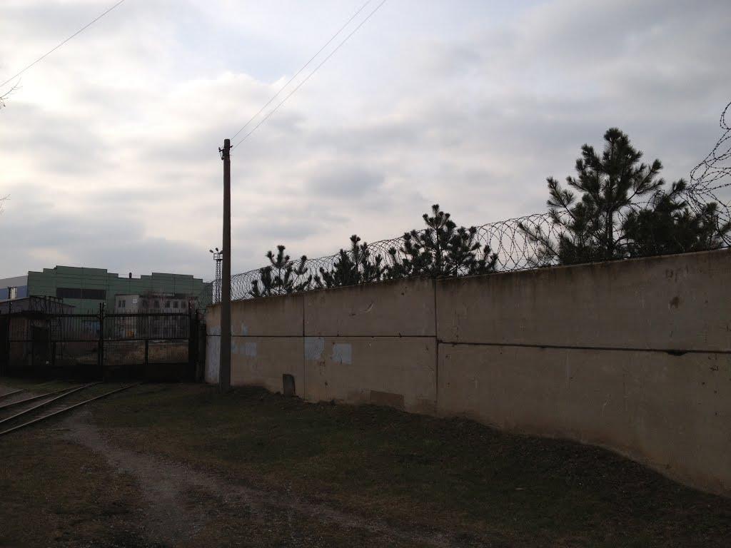 Матвіївка з panoramio.com - Матвіївка