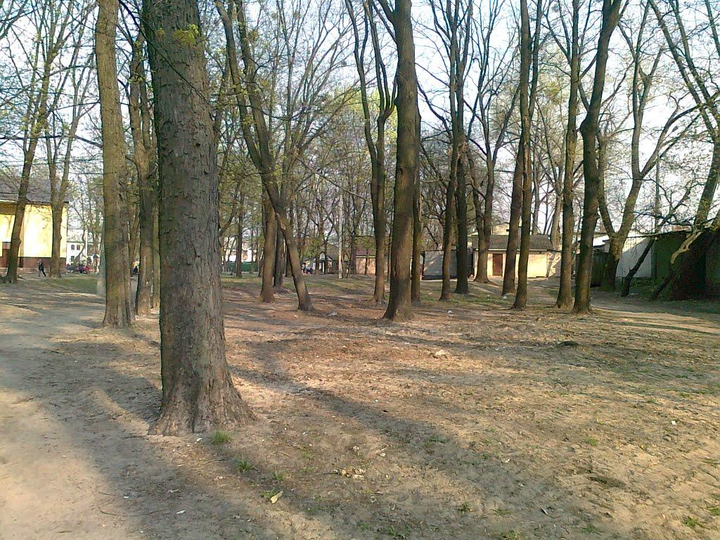 Коцюбинське з panoramio.com (ч.3) - Коцюбинское