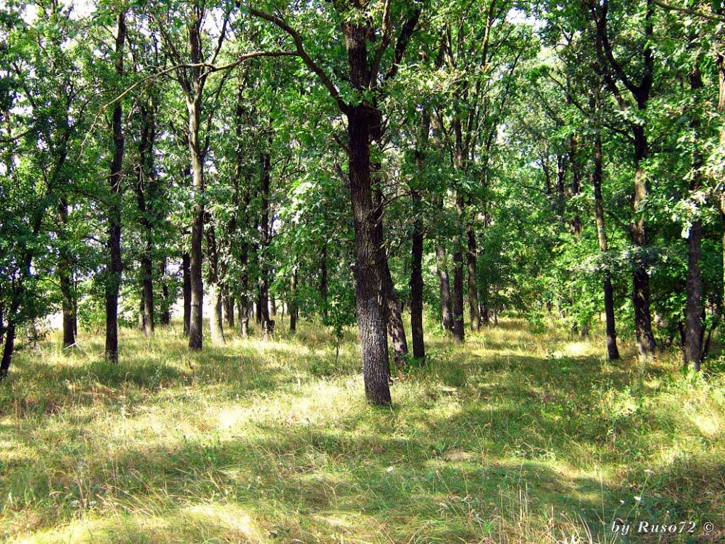 Небелиця з panoramio.com - Небелиця