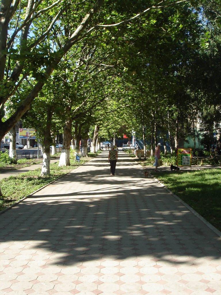 Іллічівськ з panoramio.com (ч.2) - Черноморск