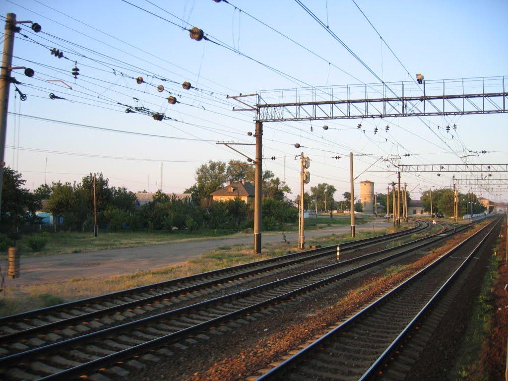 Новоолексіївка з panoramio.com - Новоолексіївка