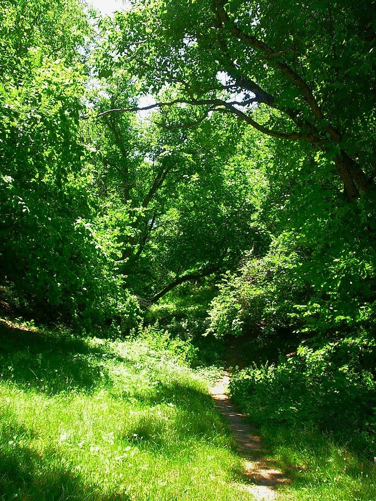 Краснолісся з panoramio.com - Краснолесье