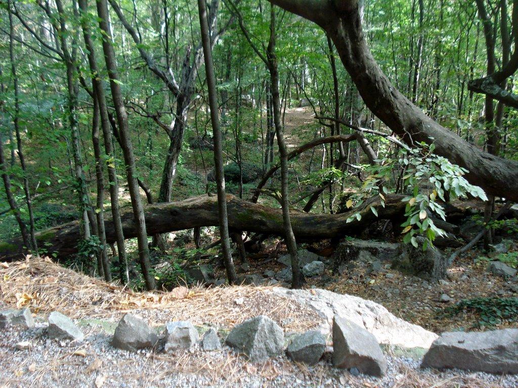 Високогірне з panoramio.com - Высокогорное