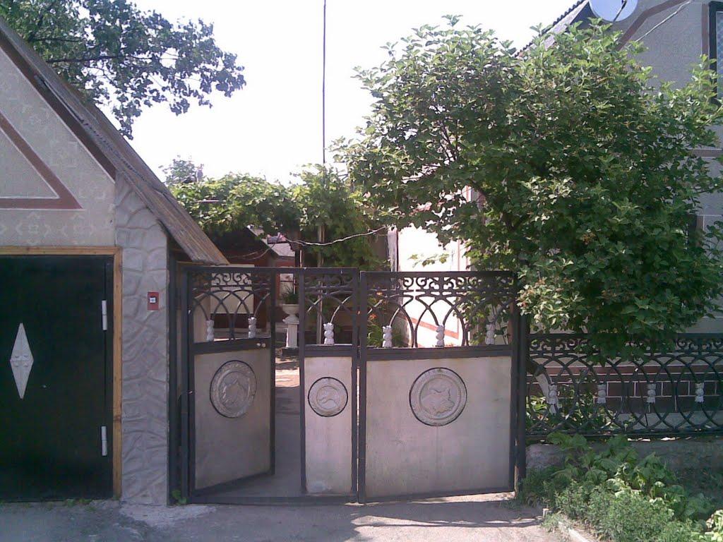 Новоолексіївка з panoramio.com - Новоолексіївка