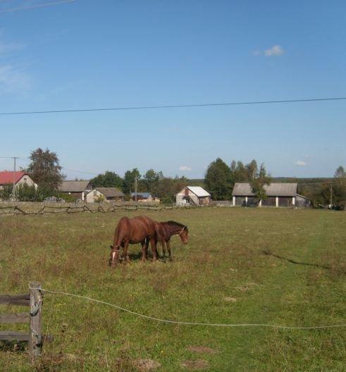 Дрогомишль з panoramio.com - Дрогомишль