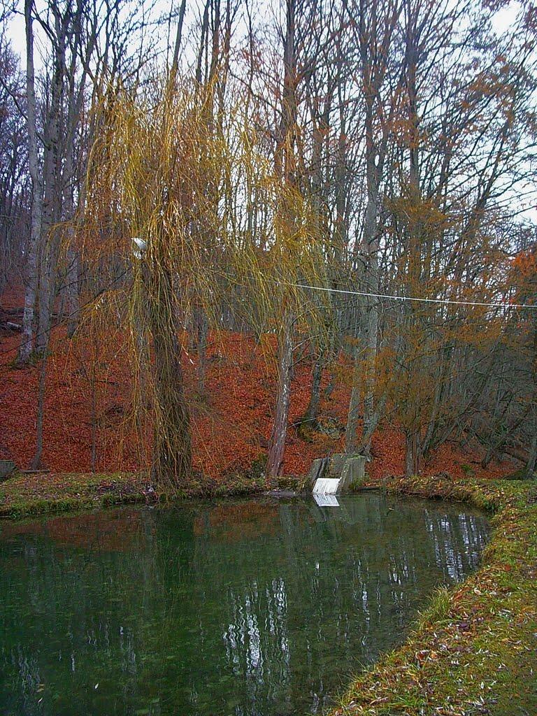 Розовий з panoramio.com (ч.2) - Розовий