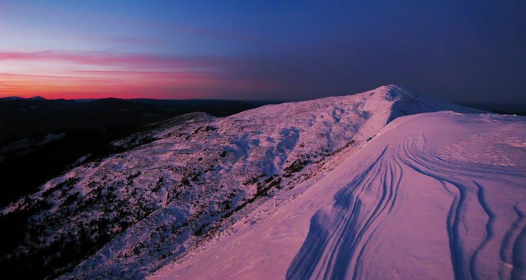 Осмолода з panoramio.com (ч.2) - Осмолода