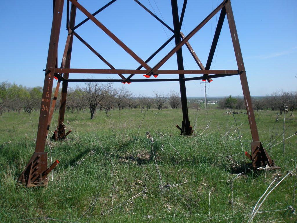 Царичанка з panoramio.com - Царичанка