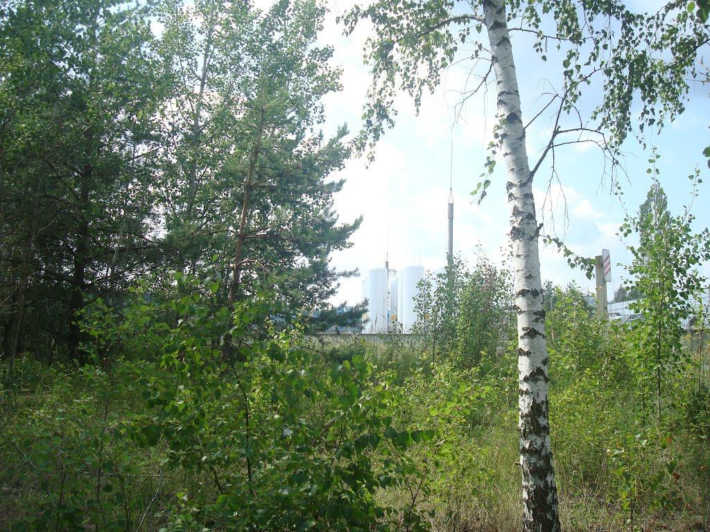 Білотин з panoramio.com - Білотин