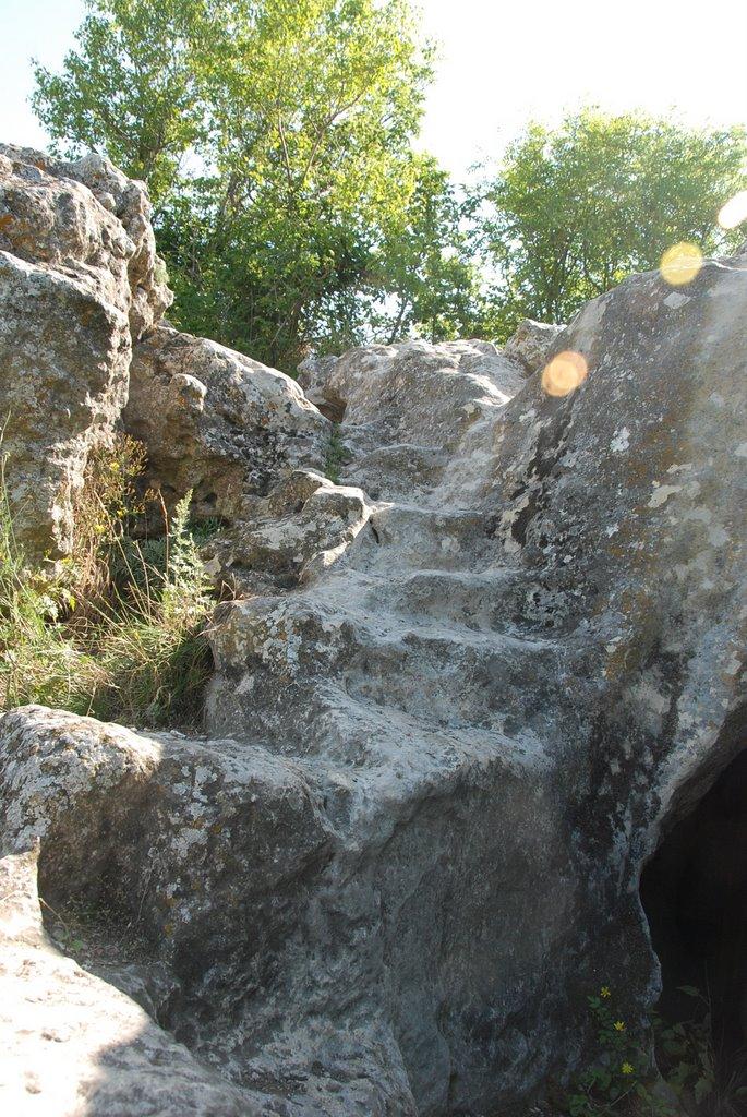 Велике Садове з panoramio.com - Большое Садовое