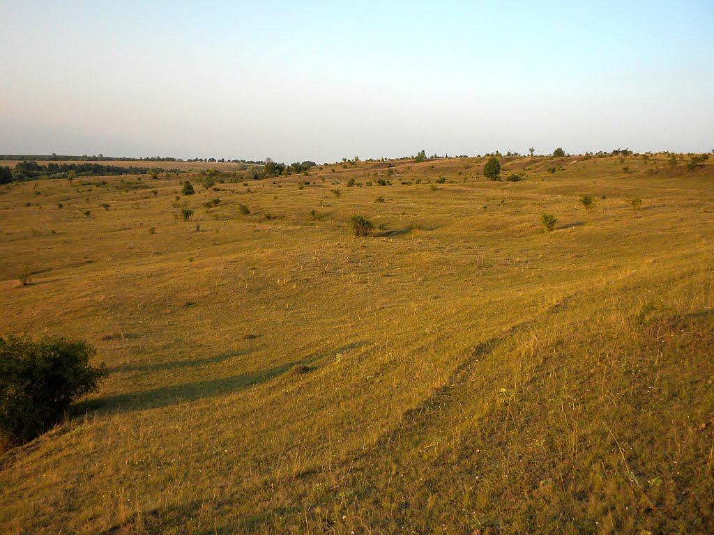 Городківка з panoramio.com