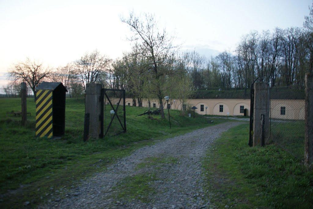 Циків з panoramio.com - Цыков